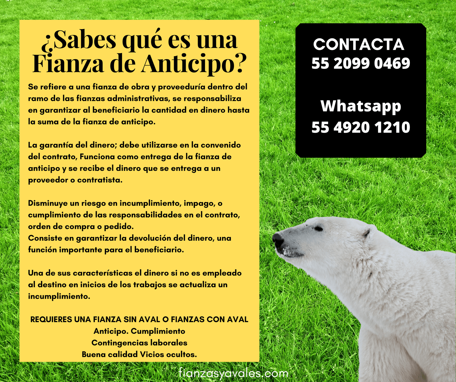 ¿Sabes que es una Fianza de Anticipo? 1 ¿Sabes qué es una Fianza de Anticipo?